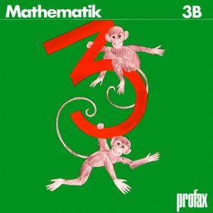 Mathematik 3B