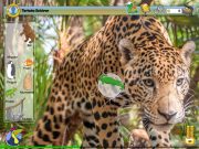 JUNIOR Xplore Regenwaldinsel: Tierische Gefahren