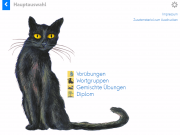 Katze mit tz: Hauptauswahl