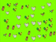 dob pro – Suchstrategien: Wo ist die Ente?