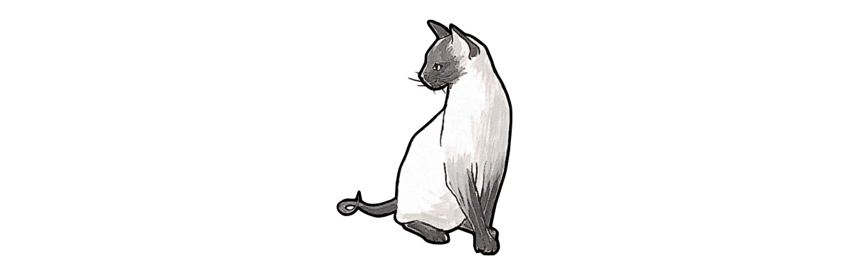 Hörwelt Bauernhof – Annas Siamkatze Kleopatra