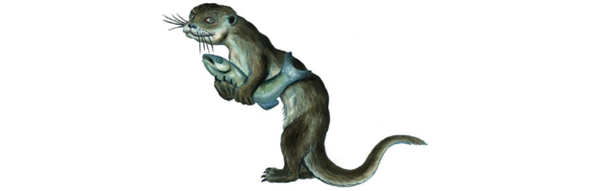 Katze mit tz: Otter