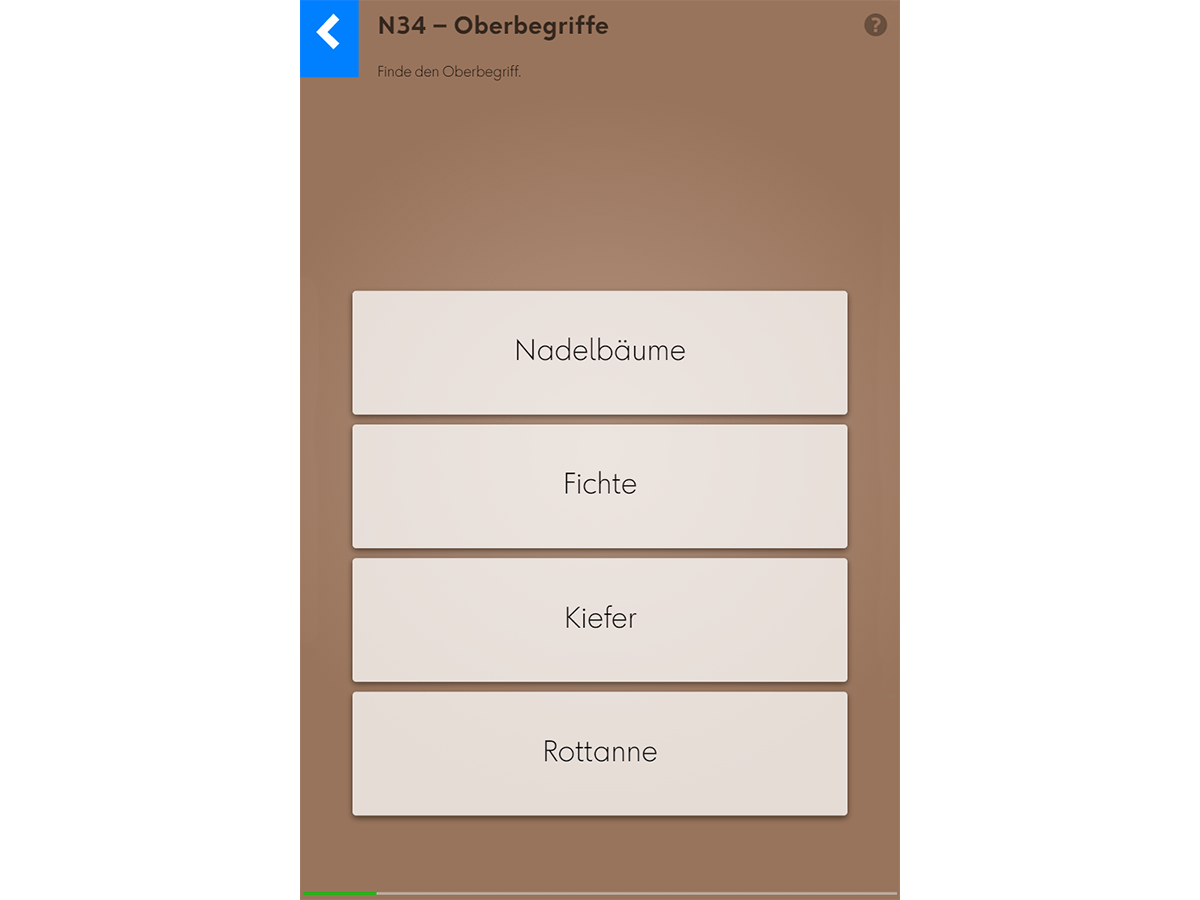 Wortgrammatik: Nomen – N34 Oberbegriffe